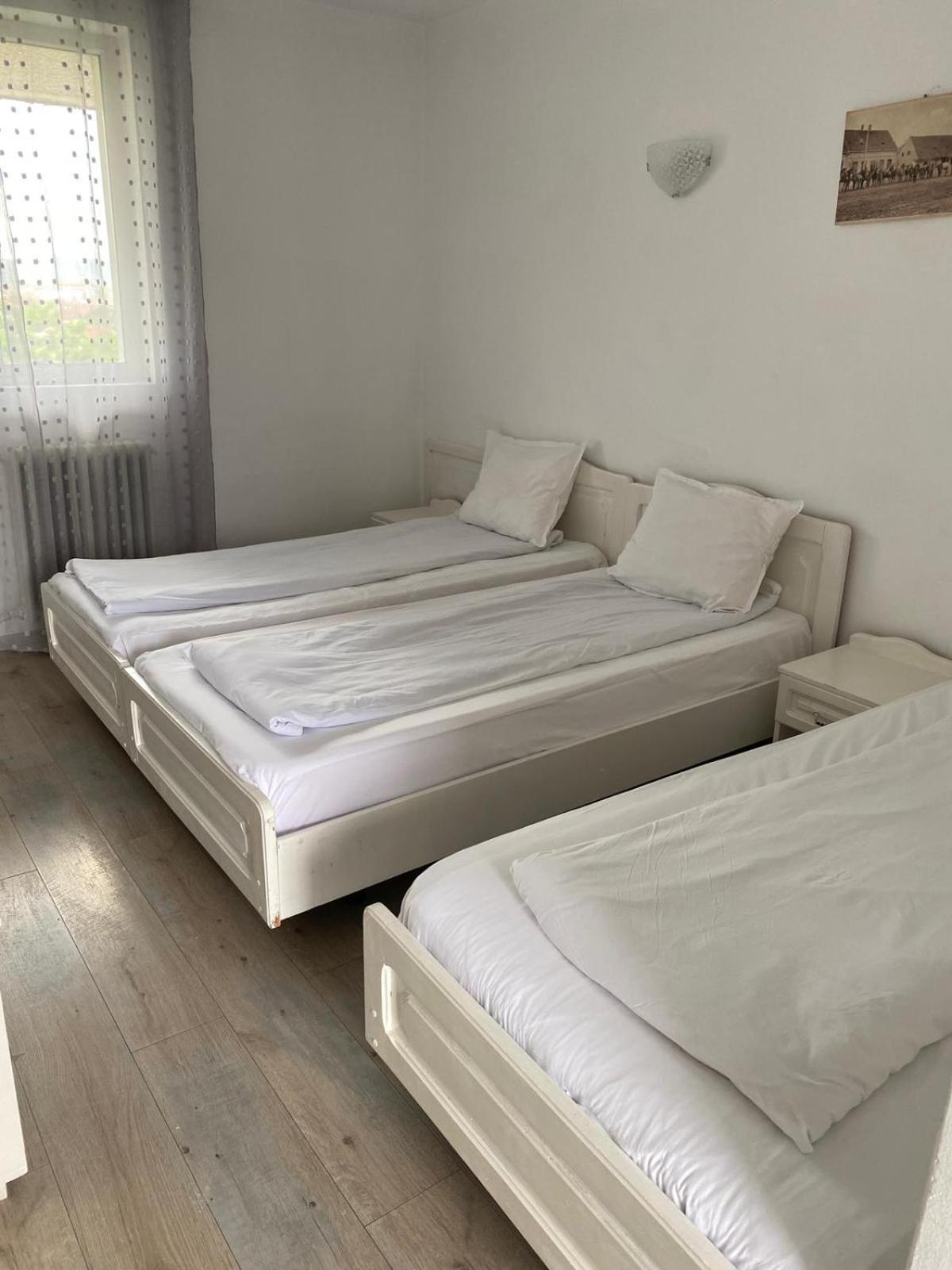 Motel Dacia Sebes  Bagian luar foto